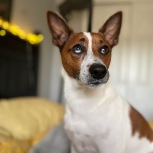 Meet your Posher, Camille